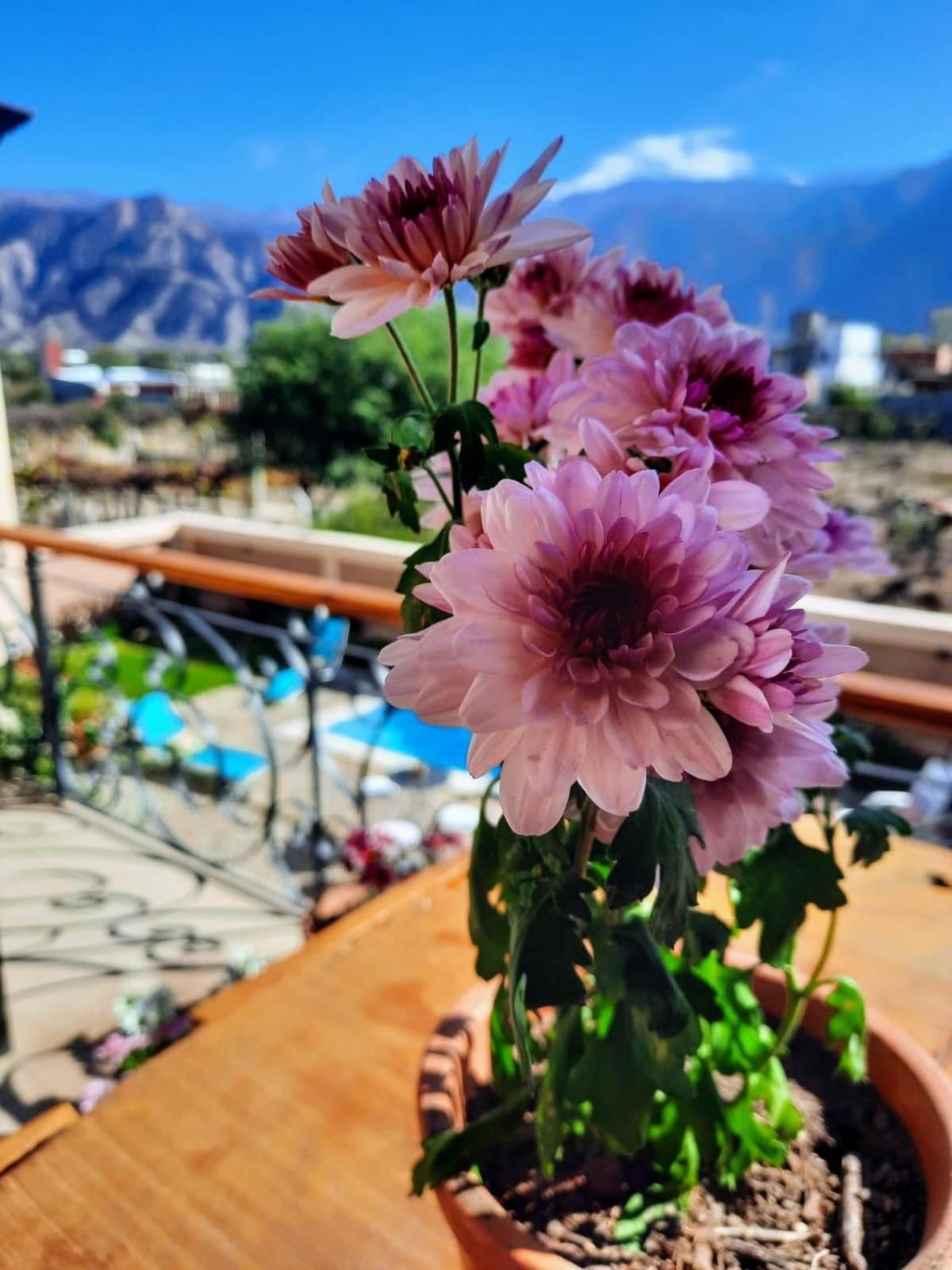 Luna De Cafayate Hotel Boutique Exteriör bild
